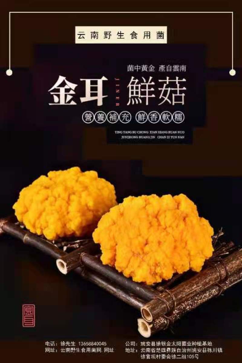 2022年新耳干品上市啦，云南楚雄产地供货，一手货源。