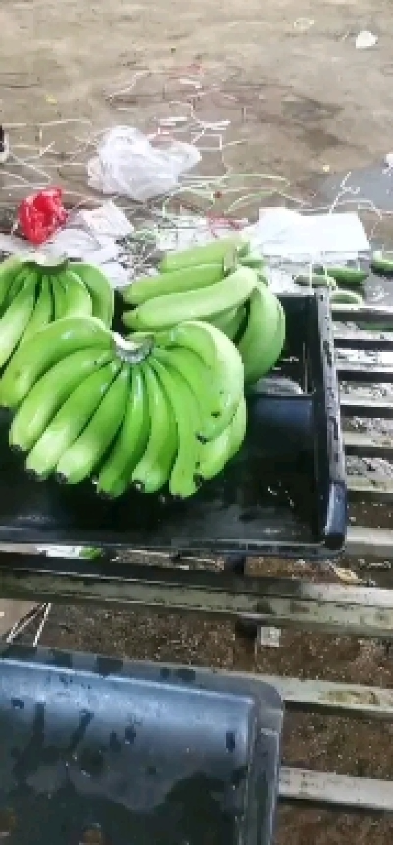香蕉
