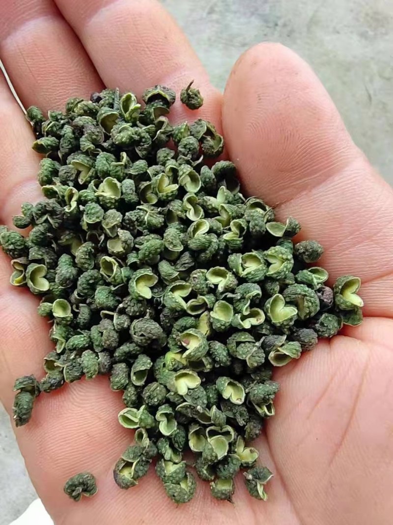 云南特色青花椒
