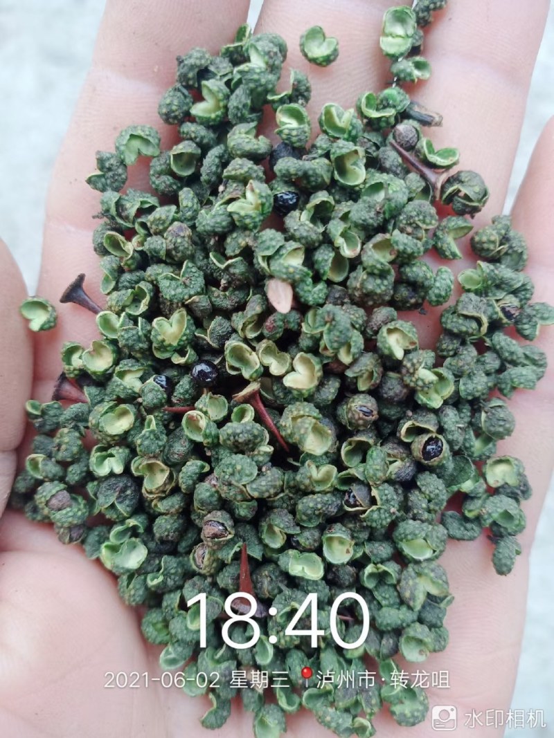 云南特色青花椒