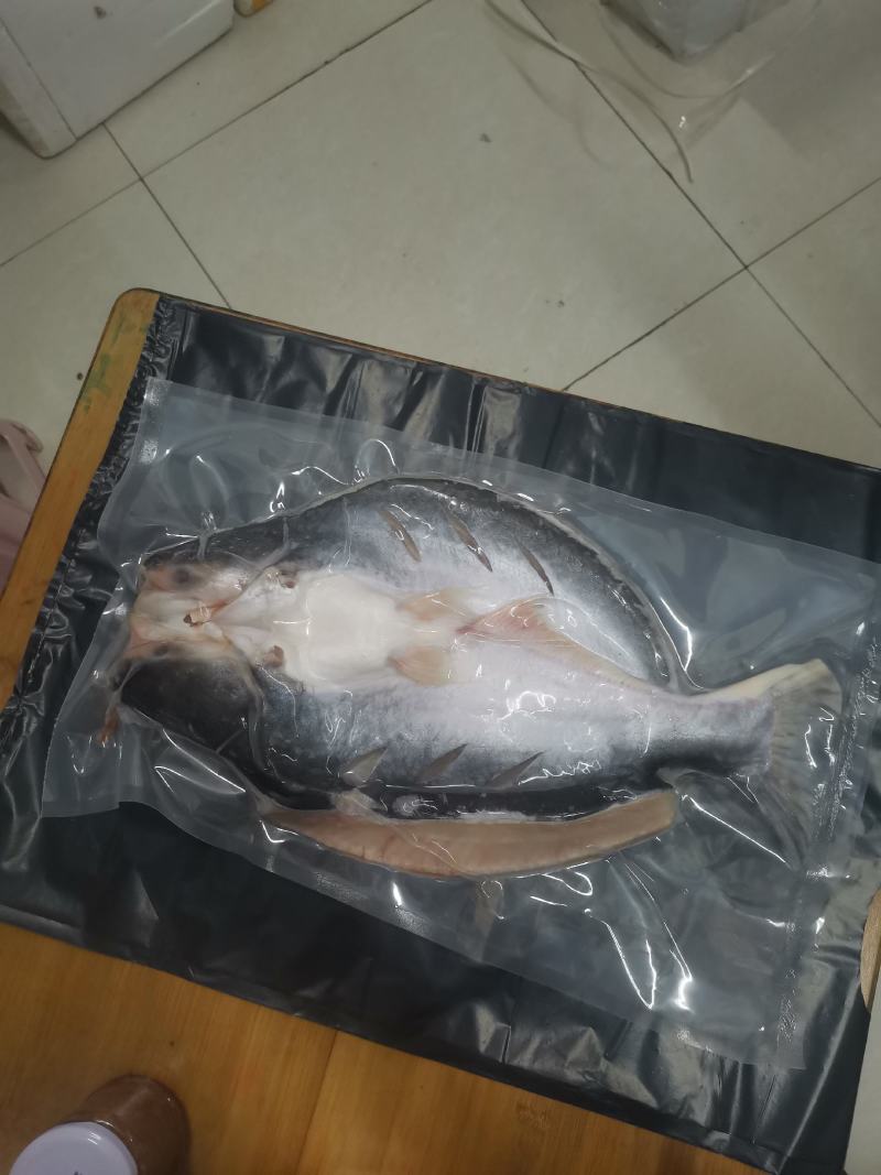 新鲜腌制开背去骨巴沙鱼12条烤鱼专用2斤一条