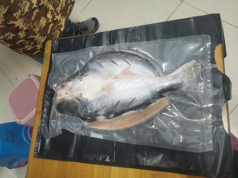 新鲜腌制开背去骨巴沙鱼12条烤鱼专用2斤一条