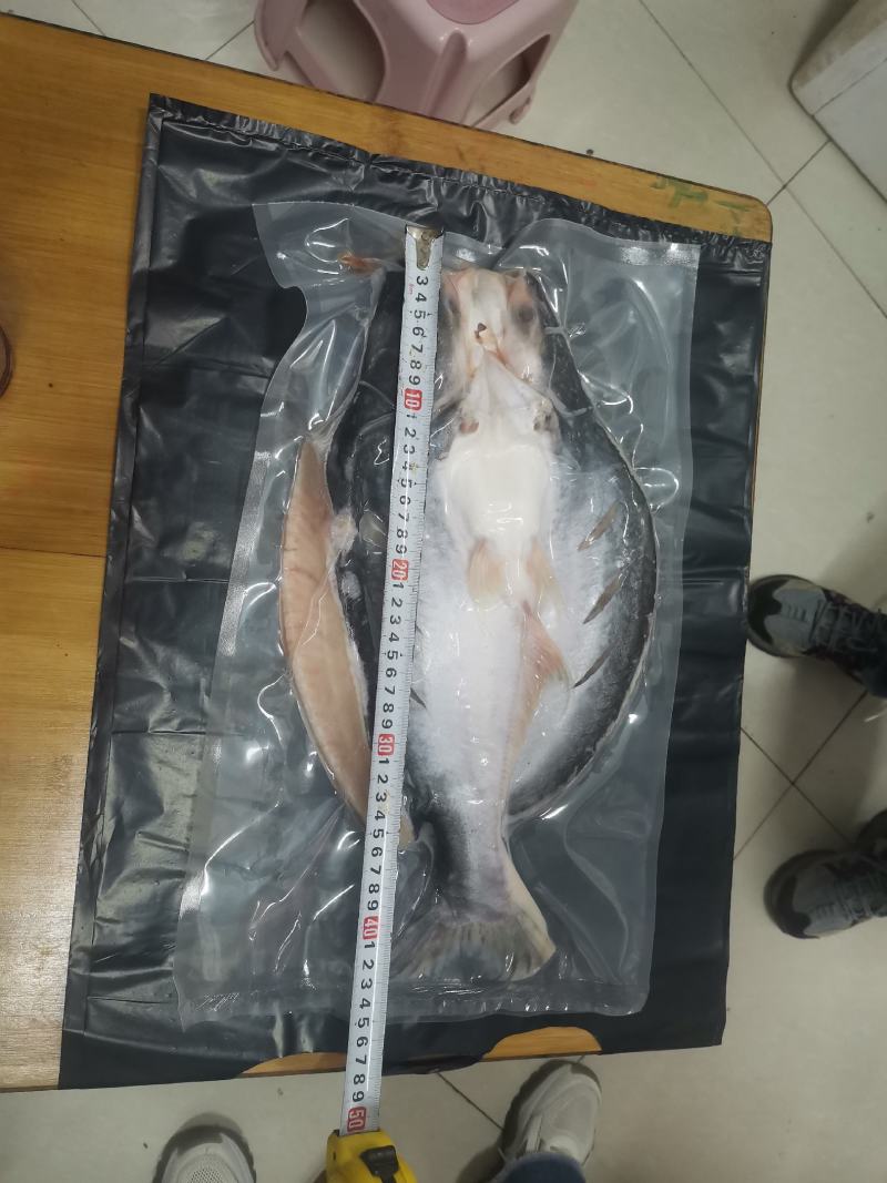 新鲜腌制开背去骨巴沙鱼12条烤鱼专用2斤一条