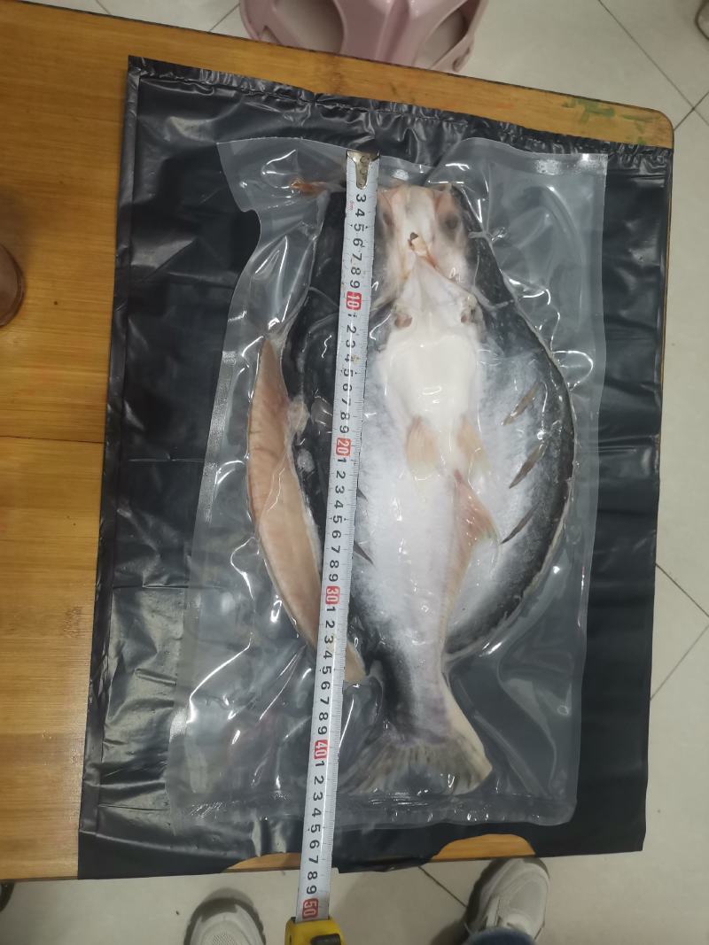 新鲜腌制开背去骨巴沙鱼12条烤鱼专用2斤一条
