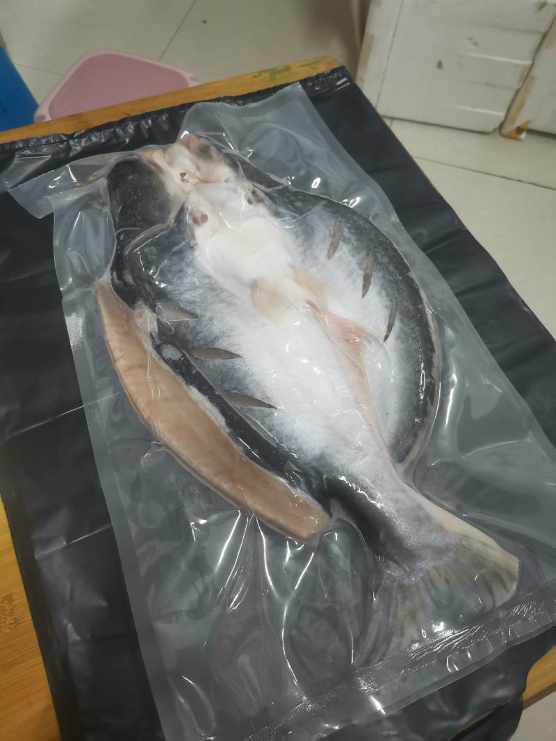 新鲜腌制开背去骨巴沙鱼12条烤鱼专用2斤一条
