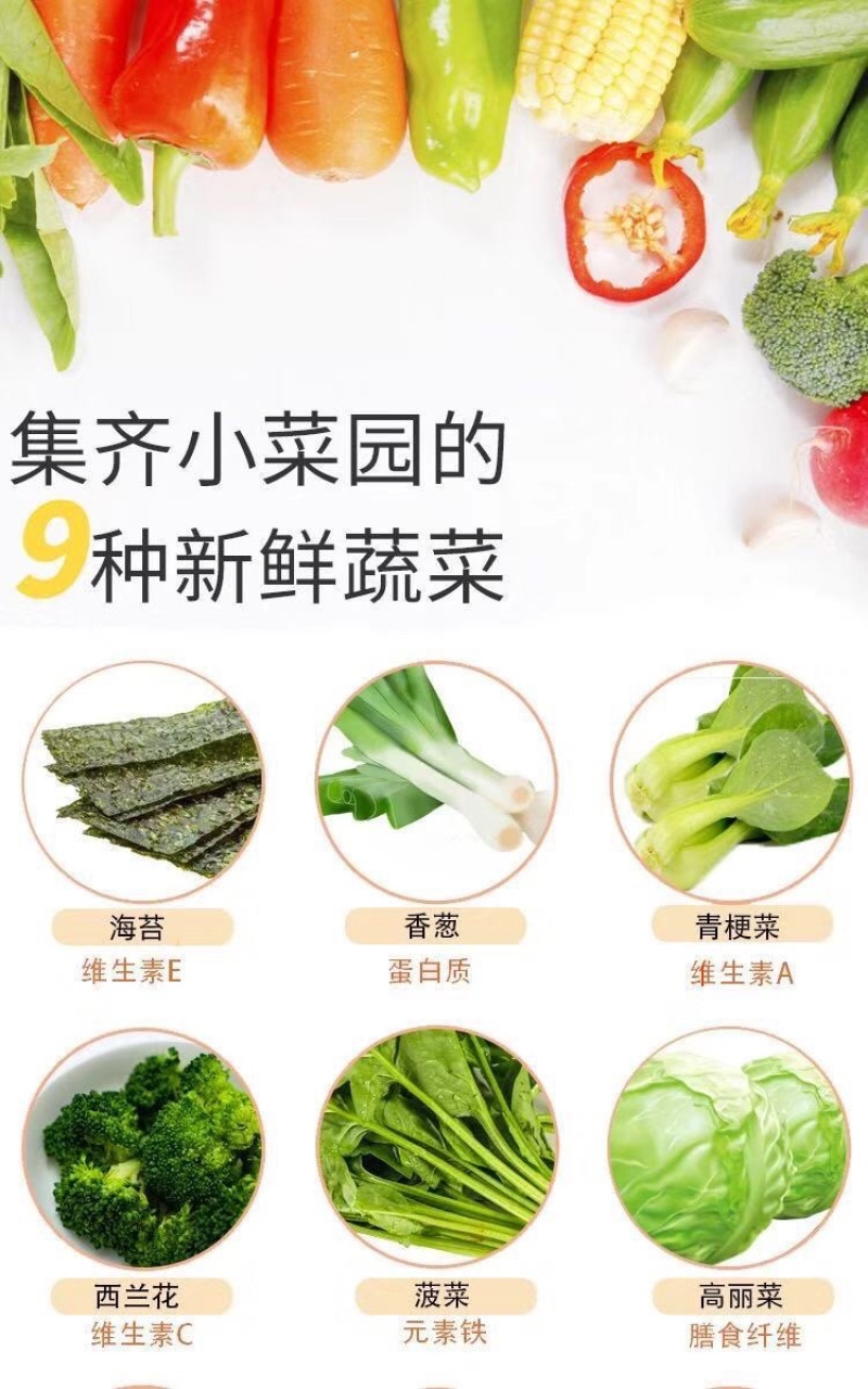 网红十二蔬菜饼干12种蔬菜薄脆小圆饼日式休闲佳品90g