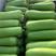 河南精品青瓠瓜，蒲瓜，瓠瓜颜色绿，万亩基地直供全国
