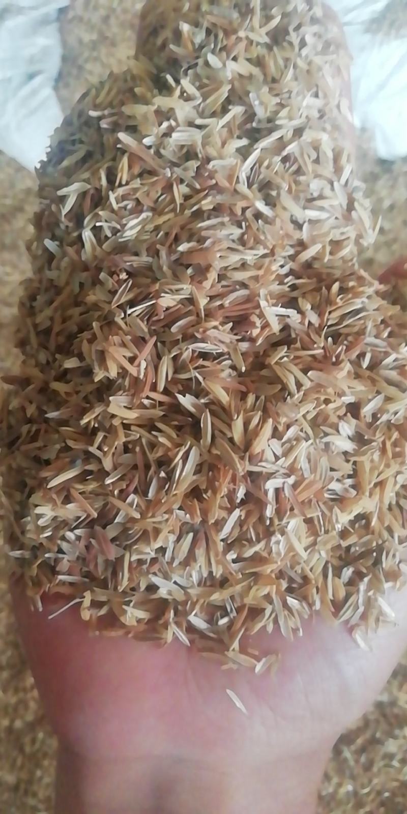 稻壳，无压缩稻壳，长粒稻壳