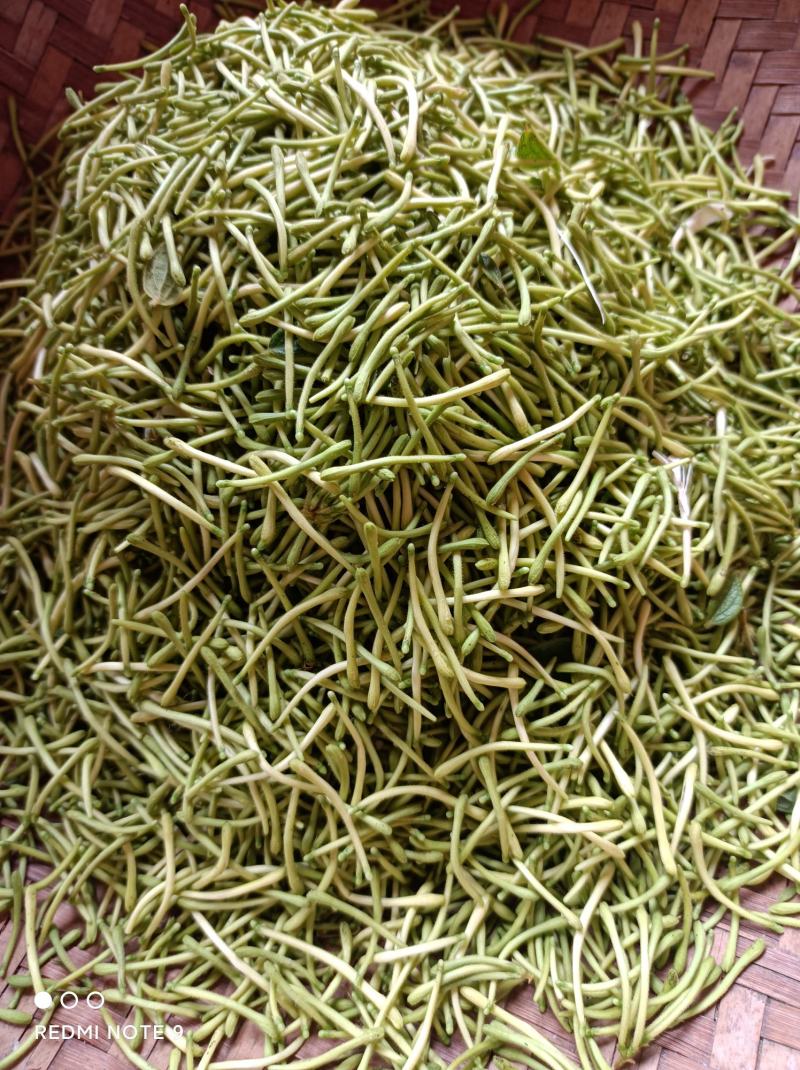 金银花