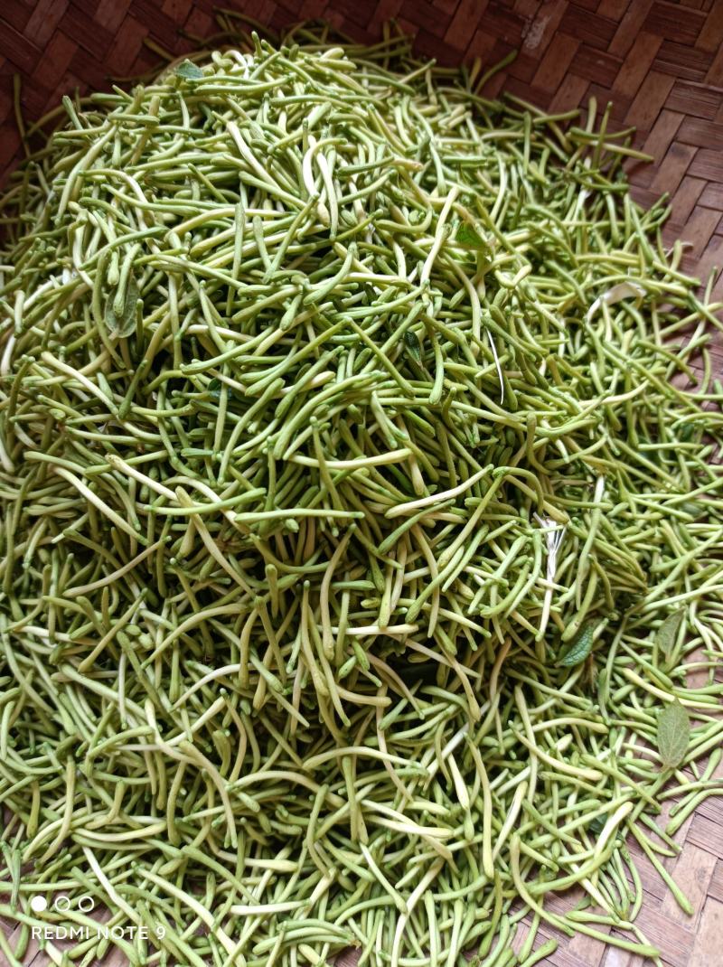 金银花