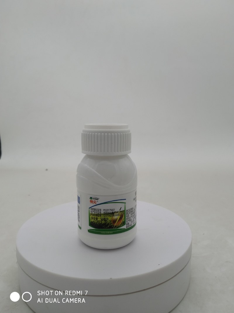 胜邦绿野劈尖15%炔草酯杀野燕麦棒头草小麦田除草剂