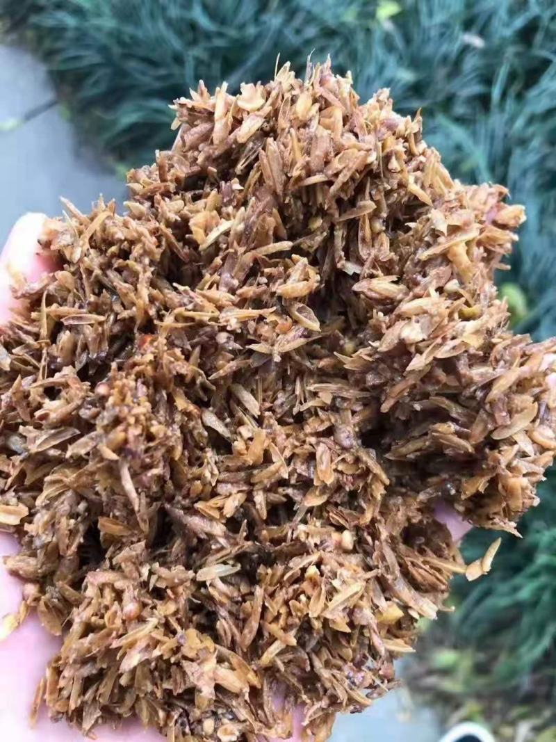 啤酒糟啤酒糟现货供应啤酒糟现货供应。