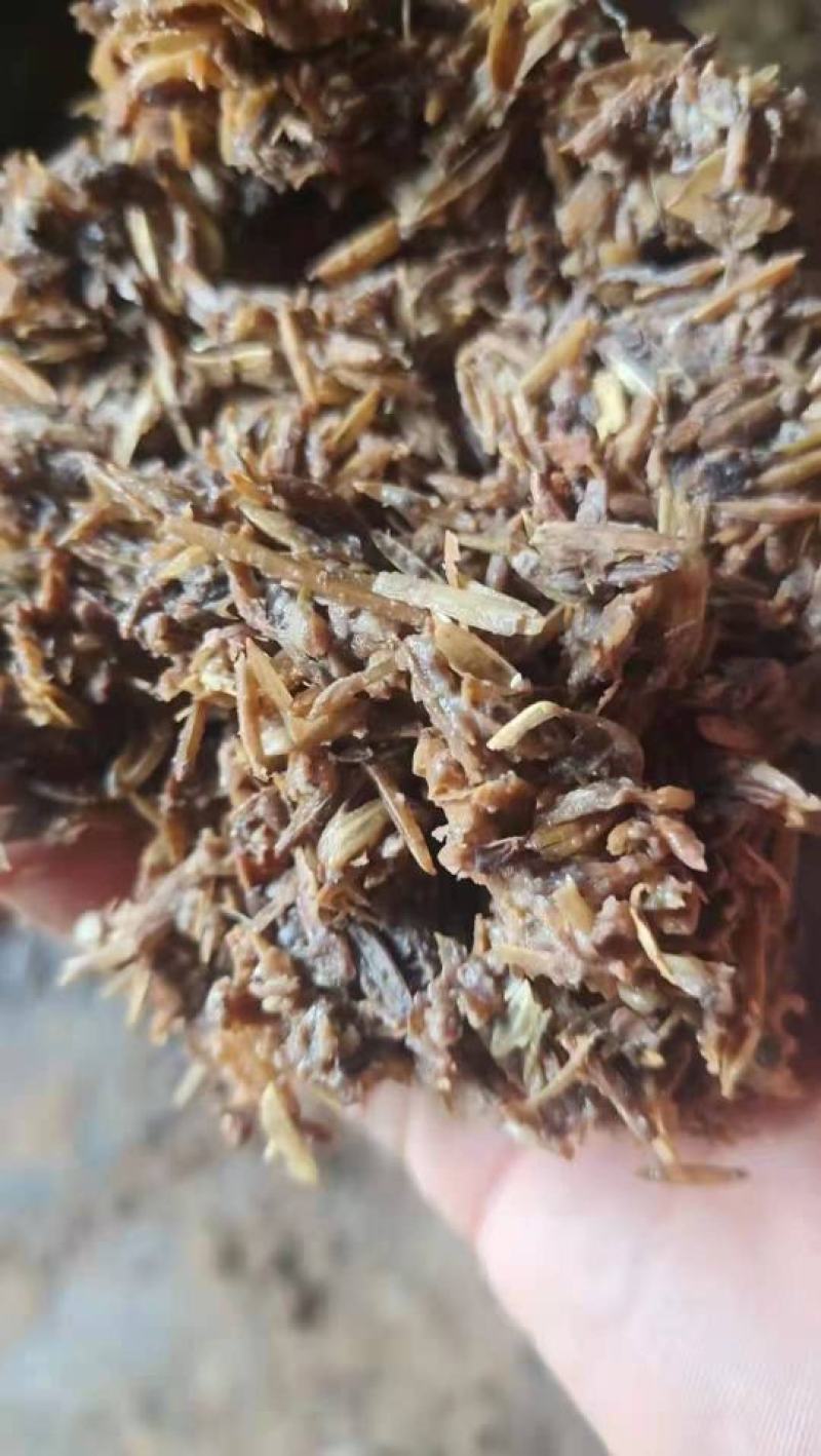 啤酒糟啤酒糟现货供应啤酒糟现货供应。