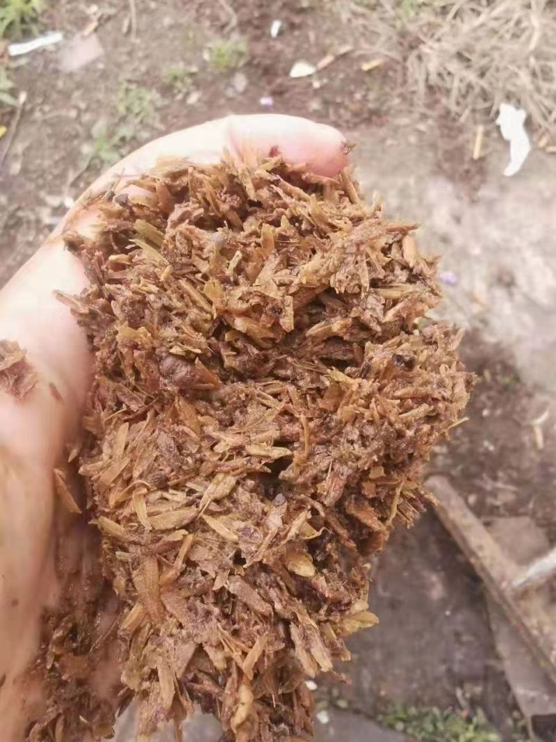 啤酒糟啤酒糟现货供应啤酒糟现货供应。