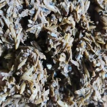 啤酒糟啤酒糟现货供应啤酒糟现货供应。
