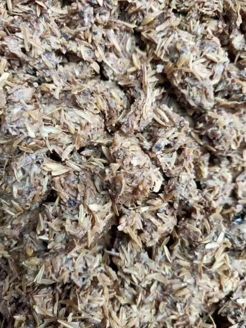 啤酒糟啤酒糟现货供应啤酒糟现货供应。