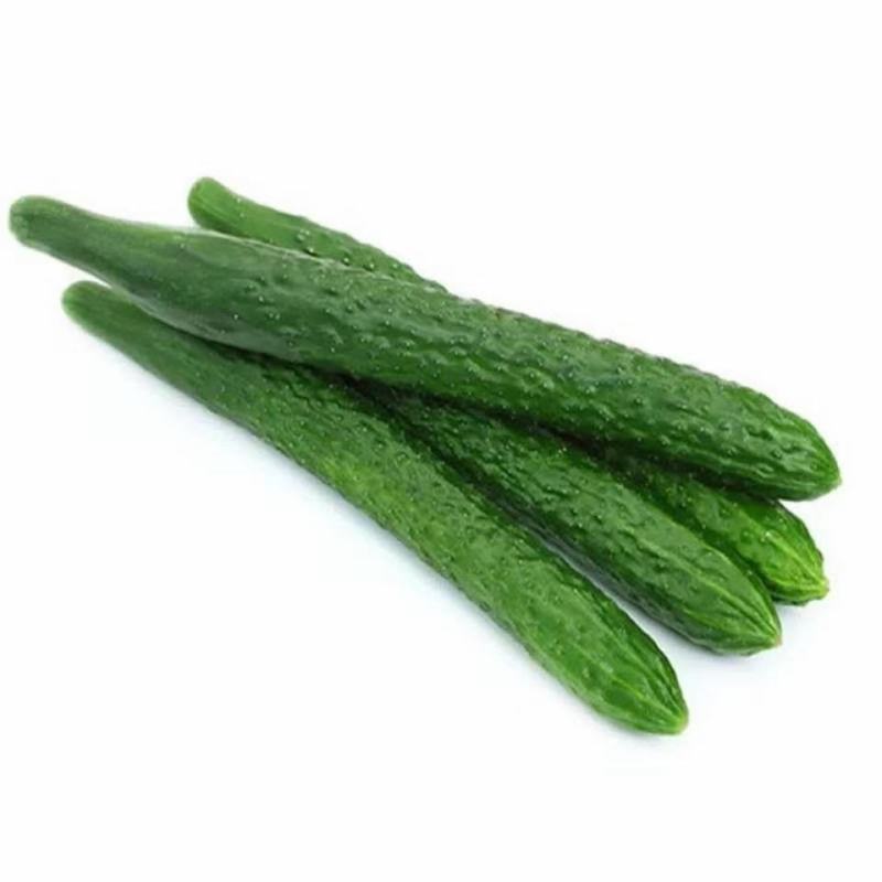 刺黄瓜