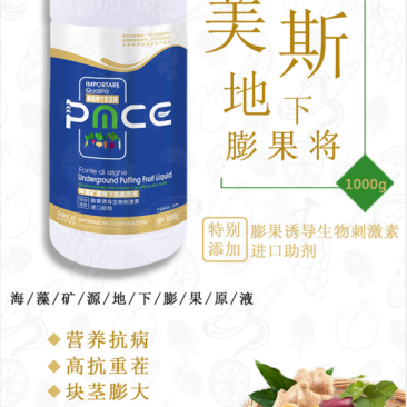 普美斯爆根、速长、膨果将、膨大拉长素、花芽分化、花果双保