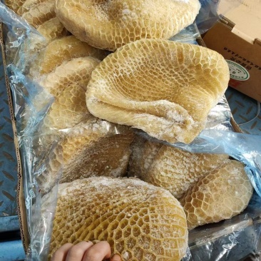 牛肚半熟金钱肚黄牛肚蜂窝毛肚江湖货源地摊批发
