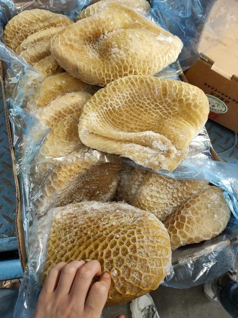 牛肚半熟金钱肚黄牛肚蜂窝毛肚江湖货源地摊批发