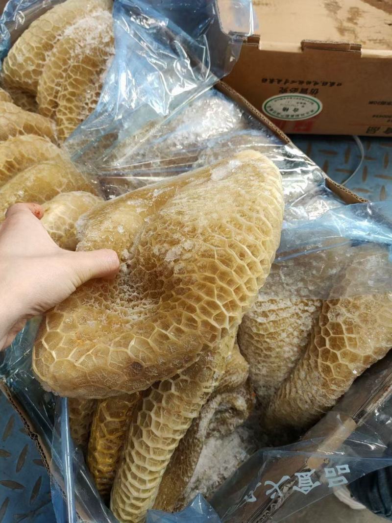 牛肚半熟金钱肚黄牛肚蜂窝毛肚江湖货源地摊批发