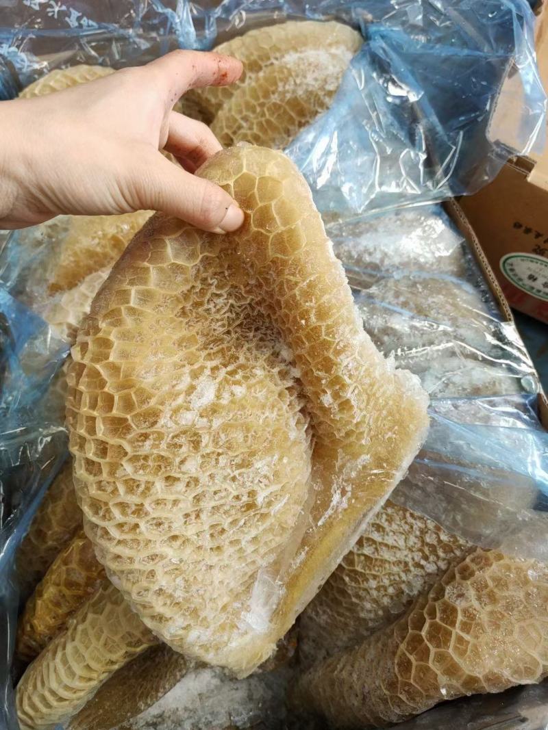 牛肚半熟金钱肚黄牛肚蜂窝毛肚江湖货源地摊批发