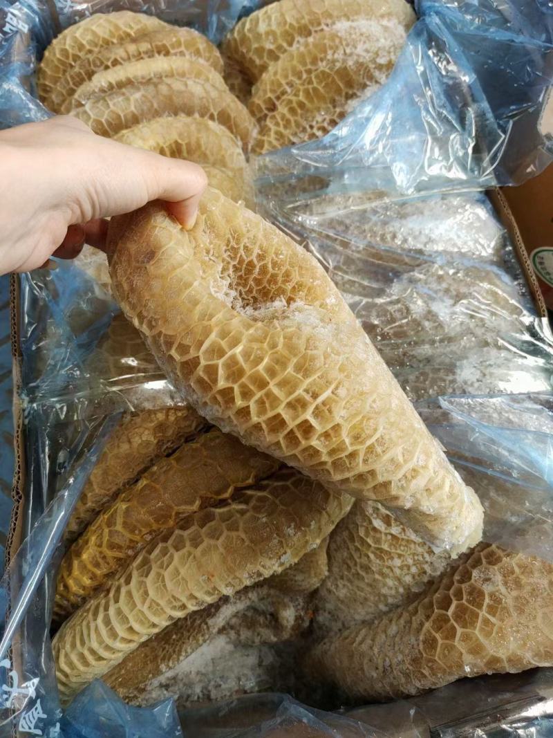 牛肚半熟金钱肚黄牛肚蜂窝毛肚江湖货源地摊批发