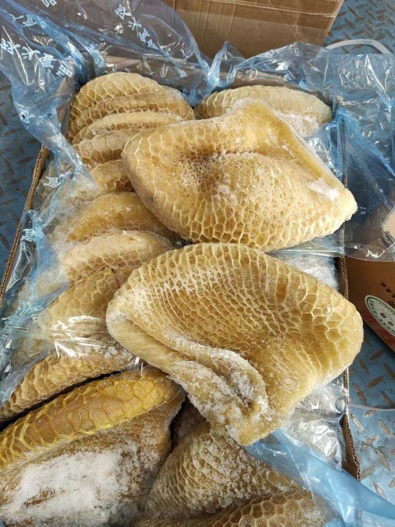 牛肚半熟金钱肚黄牛肚蜂窝毛肚江湖货源地摊批发
