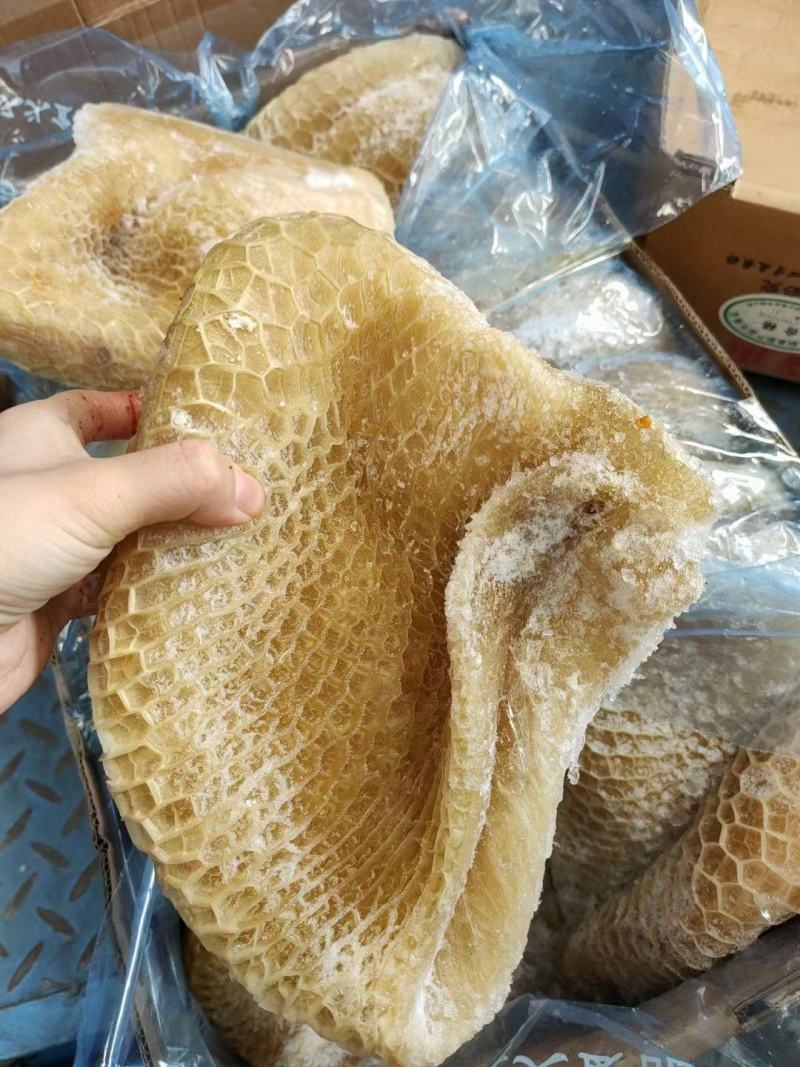 牛肚半熟金钱肚黄牛肚蜂窝毛肚江湖货源地摊批发