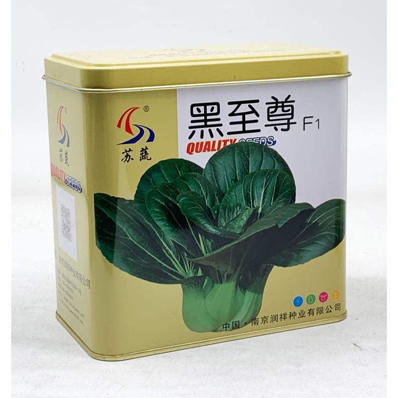 黑叶矮脚苏州青青菜种籽耐寒黑叶菜种矮棵苏州青种子