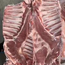 新西兰羔羊排纯干熟度高。可烧烤可清炖，孜然羊排.手抓羊排