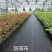 农用防草布除草布盖草地布