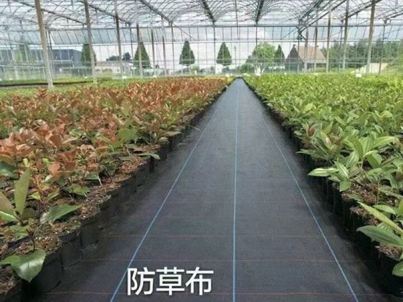 农用防草布除草布盖草地布