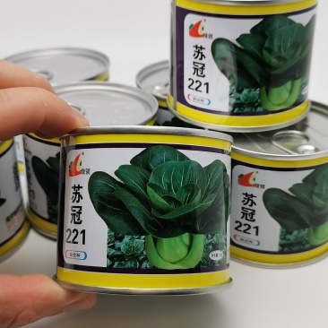 黑叶矮脚油亮苏州青青菜种籽苏冠221苏州青黑菜种子抗寒菜