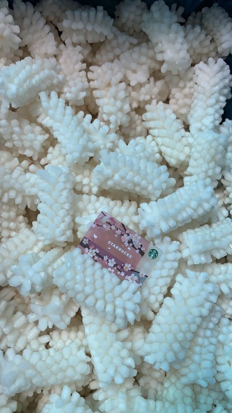 单冻鱿鱼花，可以根据要求定做