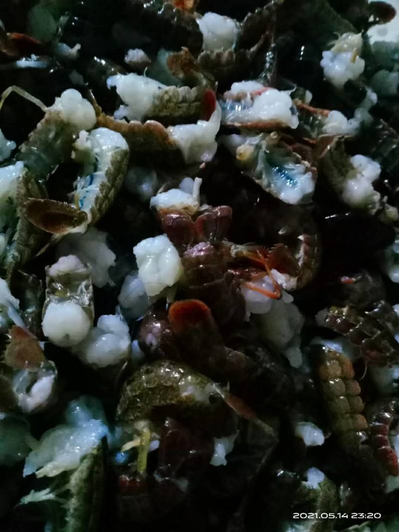 【鲜小龙虾尾】饭店烧烤油焖夜市直供