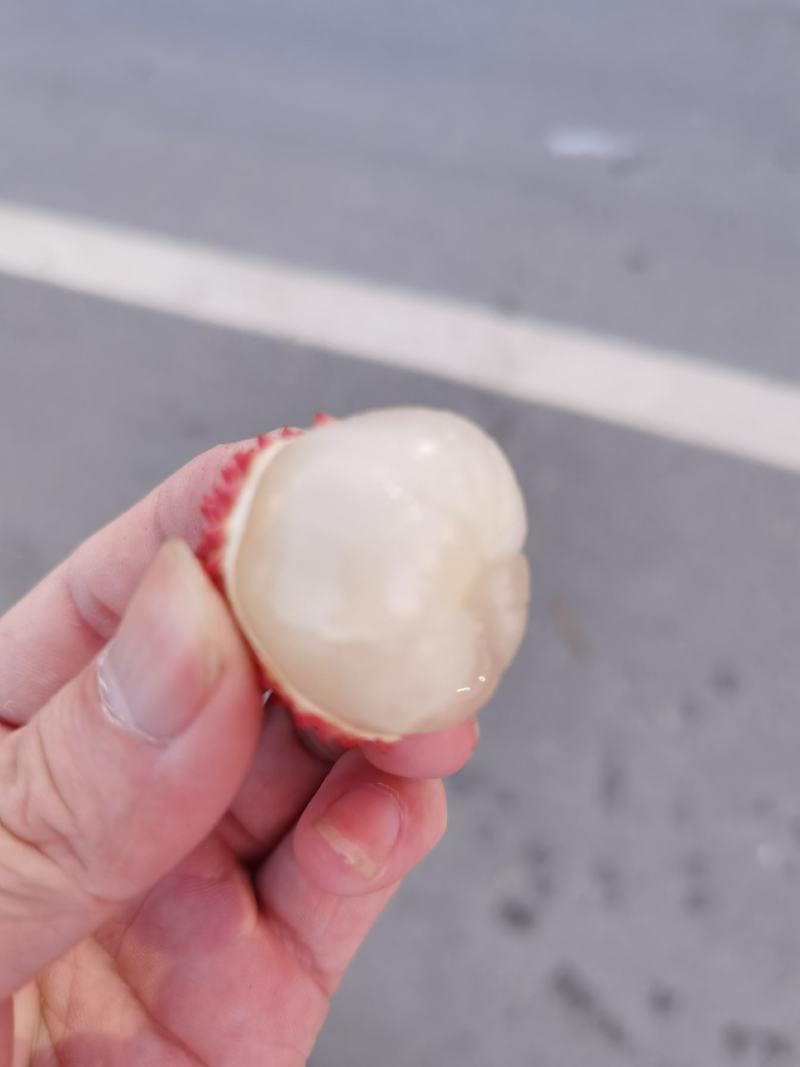 挂味荔枝黑叶糯米糍大量市场