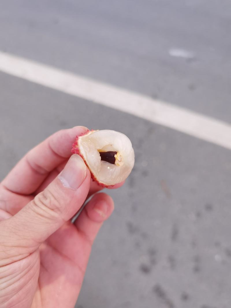 挂味荔枝黑叶糯米糍大量市场