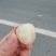 挂味荔枝黑叶糯米糍大量市场