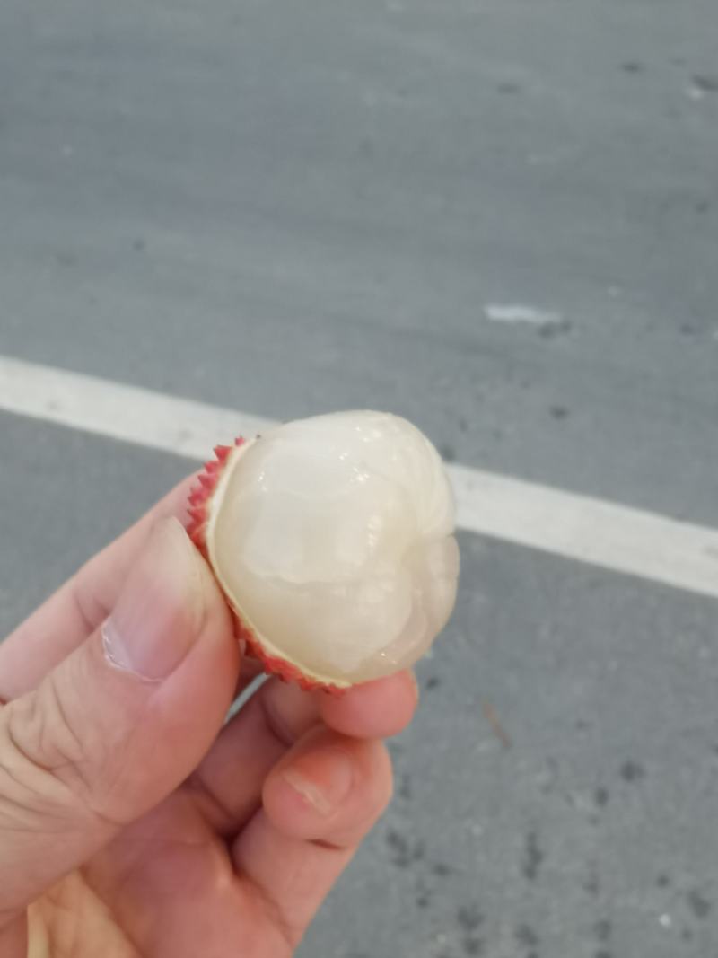 挂味荔枝黑叶糯米糍大量市场
