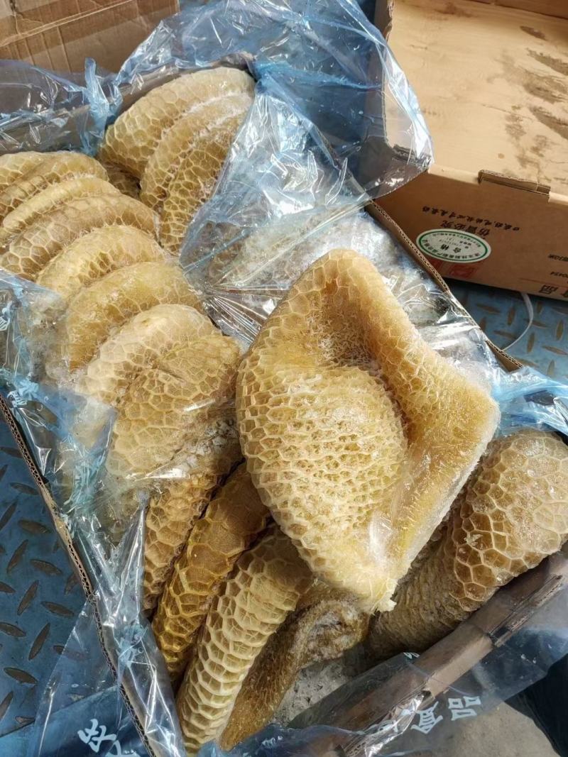 金钱肚新鲜金钱肚蜂窝肚新鲜牛肚子批发清真半成品熟金钱肚包