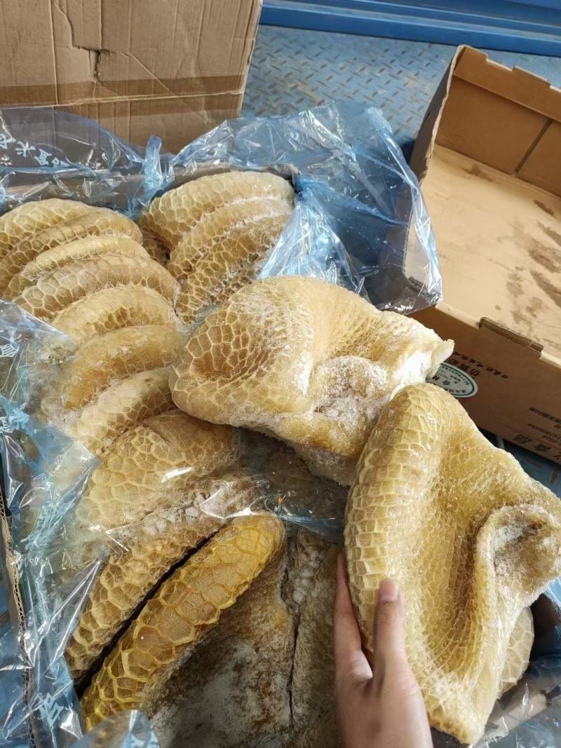 金钱肚新鲜金钱肚蜂窝肚新鲜牛肚子批发清真半成品熟金钱肚包