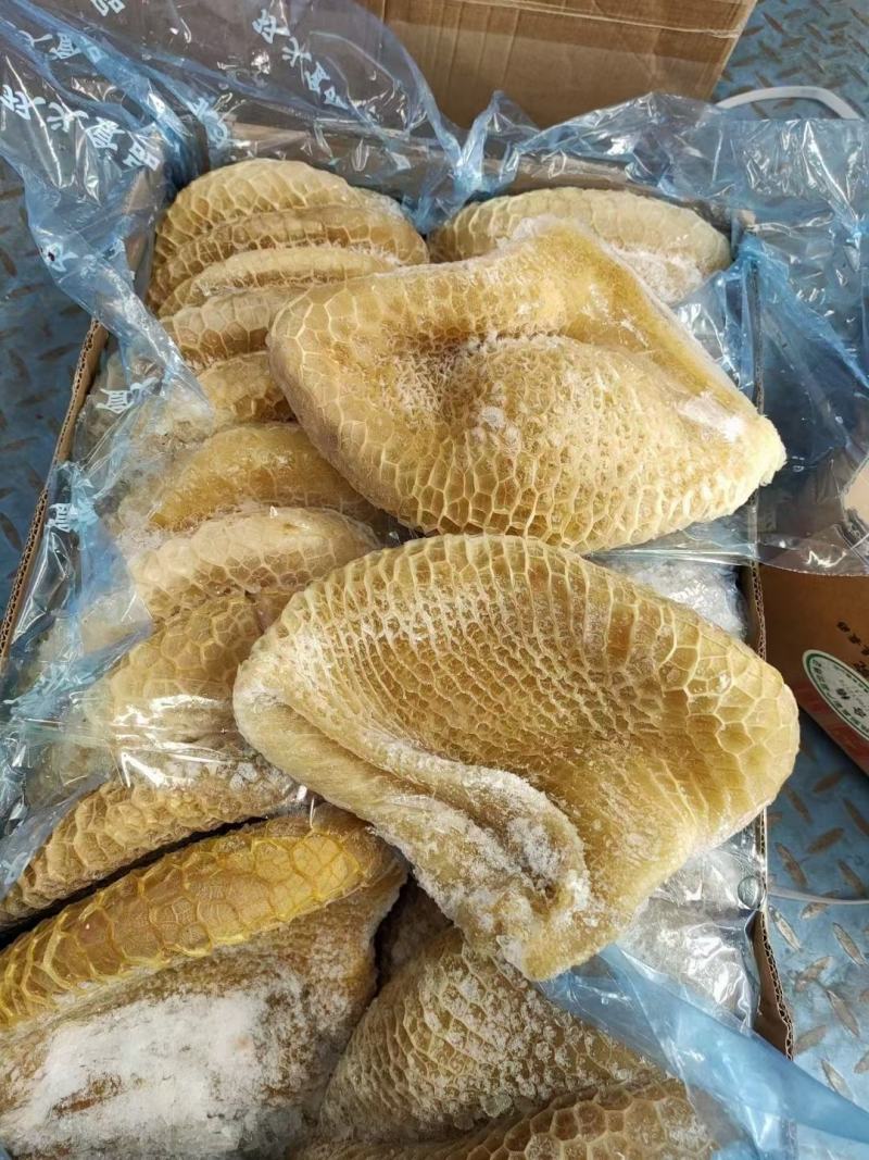 金钱肚新鲜金钱肚蜂窝肚新鲜牛肚子批发清真半成品熟金钱肚包