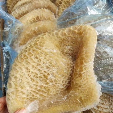 金钱肚新鲜金钱肚蜂窝肚新鲜牛肚子批发清真半成品熟金钱肚包