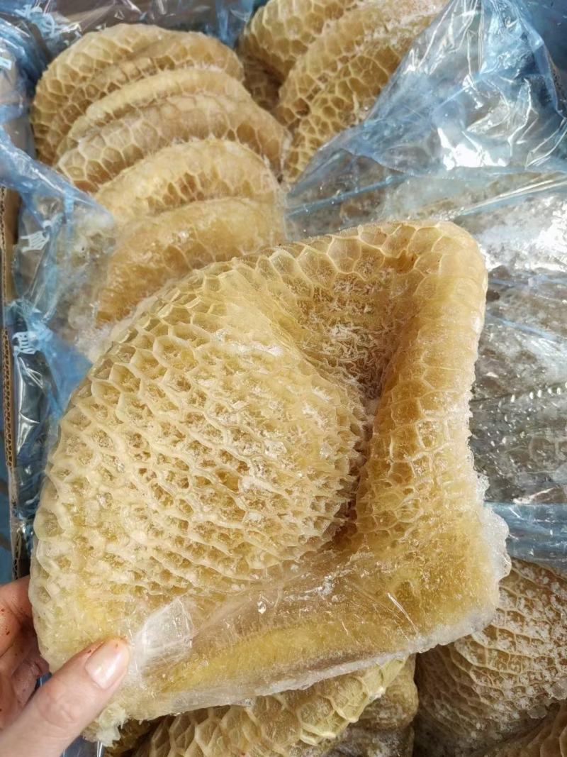 金钱肚新鲜金钱肚蜂窝肚新鲜牛肚子批发清真半成品熟金钱肚包