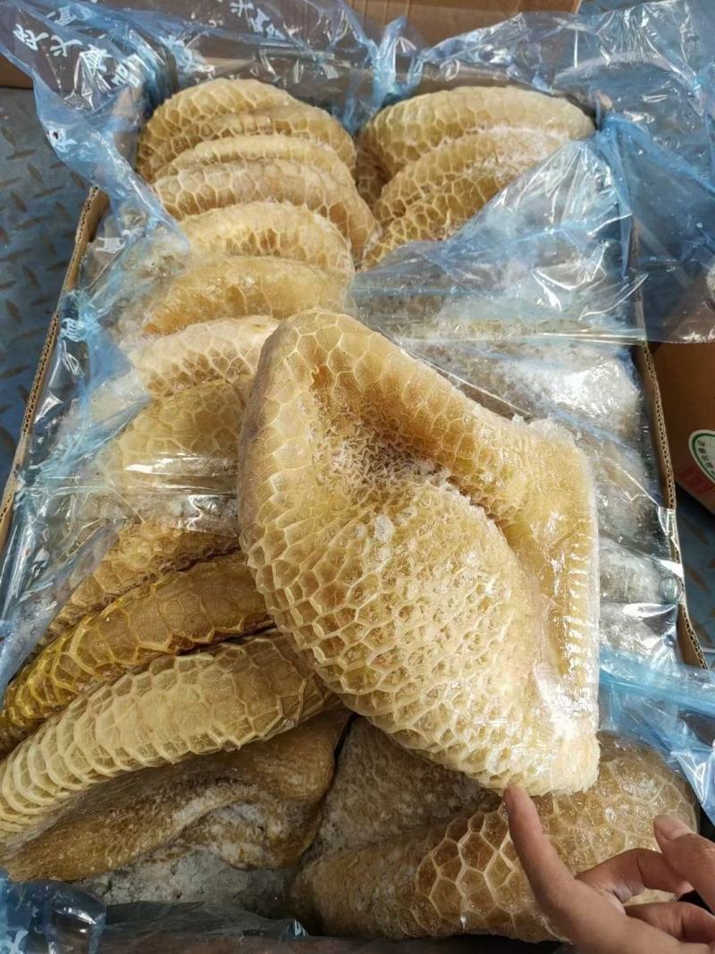 金钱肚新鲜金钱肚蜂窝肚新鲜牛肚子批发清真半成品熟金钱肚包