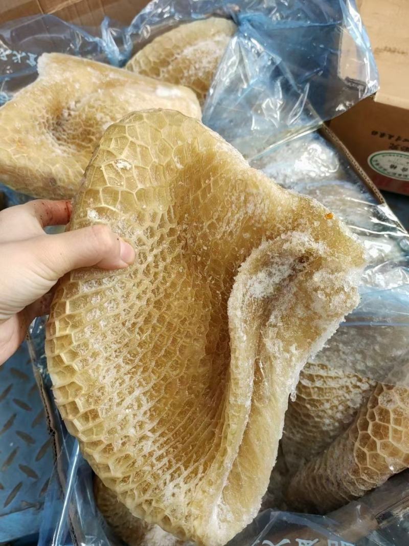 金钱肚新鲜金钱肚蜂窝肚新鲜牛肚子批发清真半成品熟金钱肚包