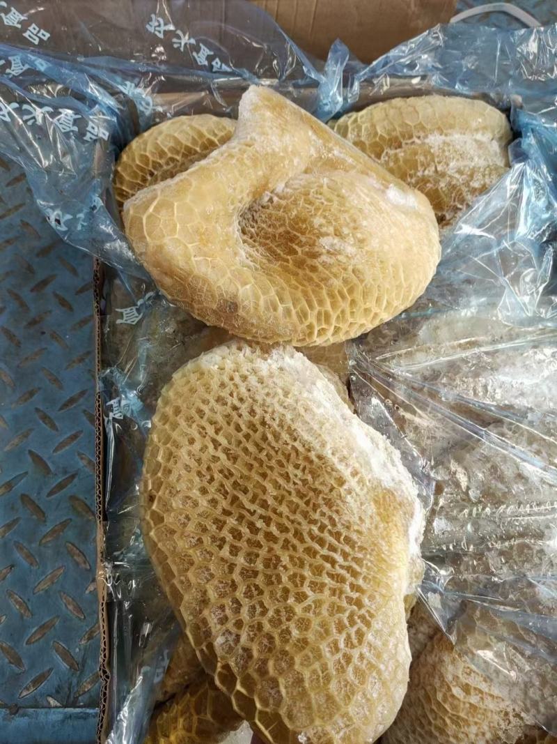 金钱肚新鲜金钱肚蜂窝肚新鲜牛肚子批发清真半成品熟金钱肚包