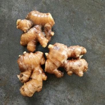 老姜（新鮮老生姜现货供应）