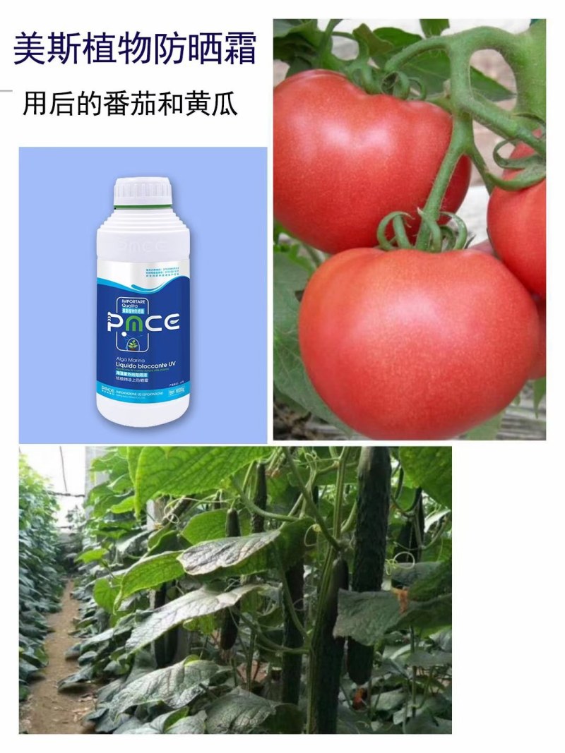 美斯植物防晒霜--海藻紫外线阻隔液给植物涂上防晒霜